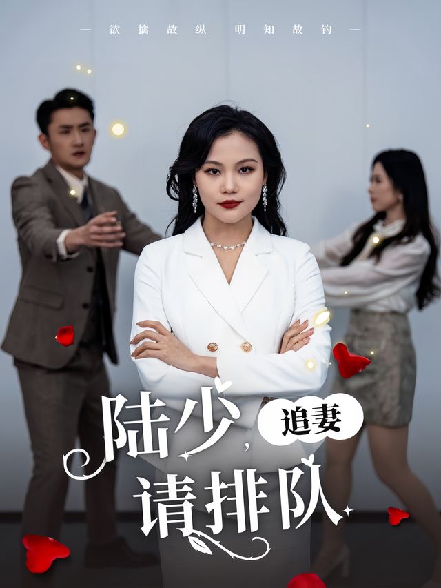 陆少,追妻请排队封面