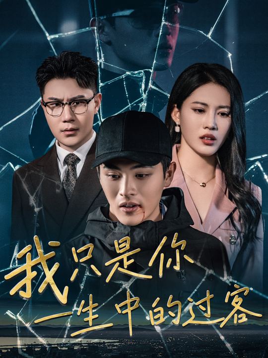 我只是你一生中的过客封面