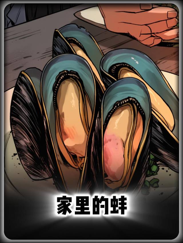 家里的蚌封面