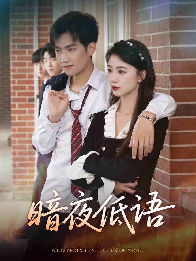 暗夜低语封面