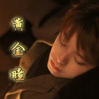 黄金瞳封面