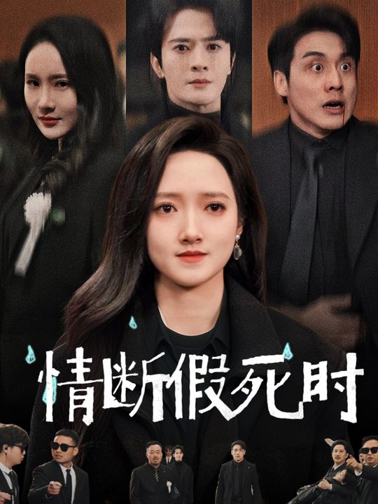 情断假死时封面