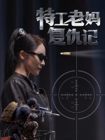特工老妈复仇记封面