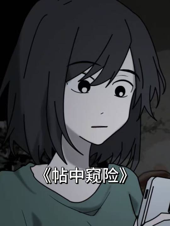 帖中窥险封面