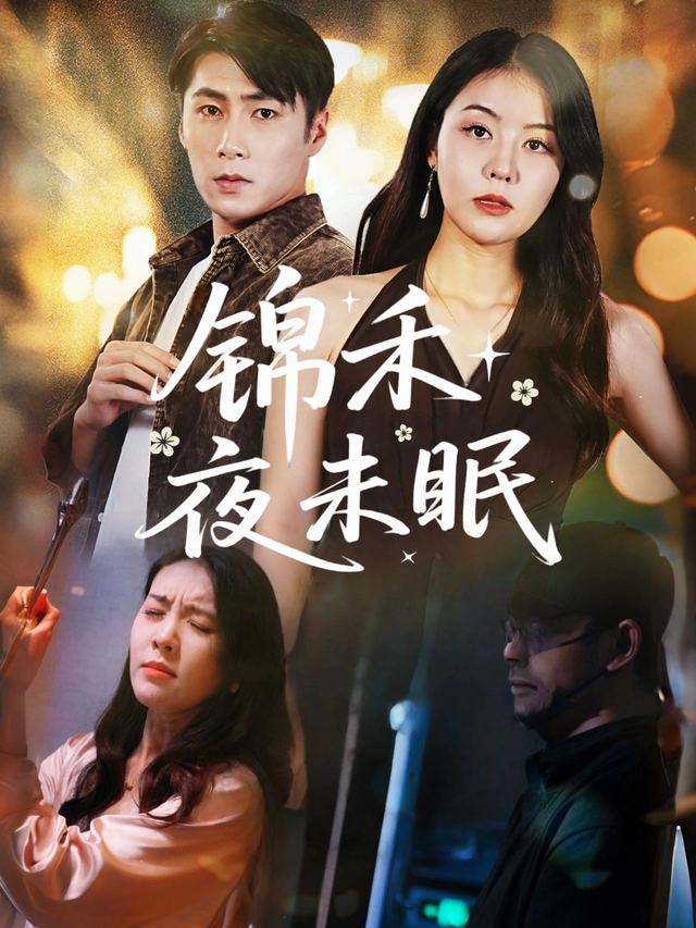 锦禾夜未眠封面