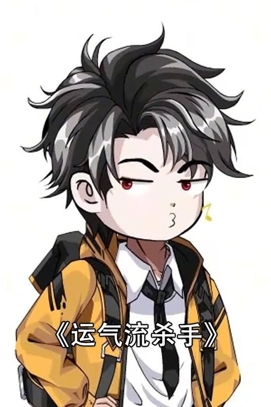 运气流杀手封面