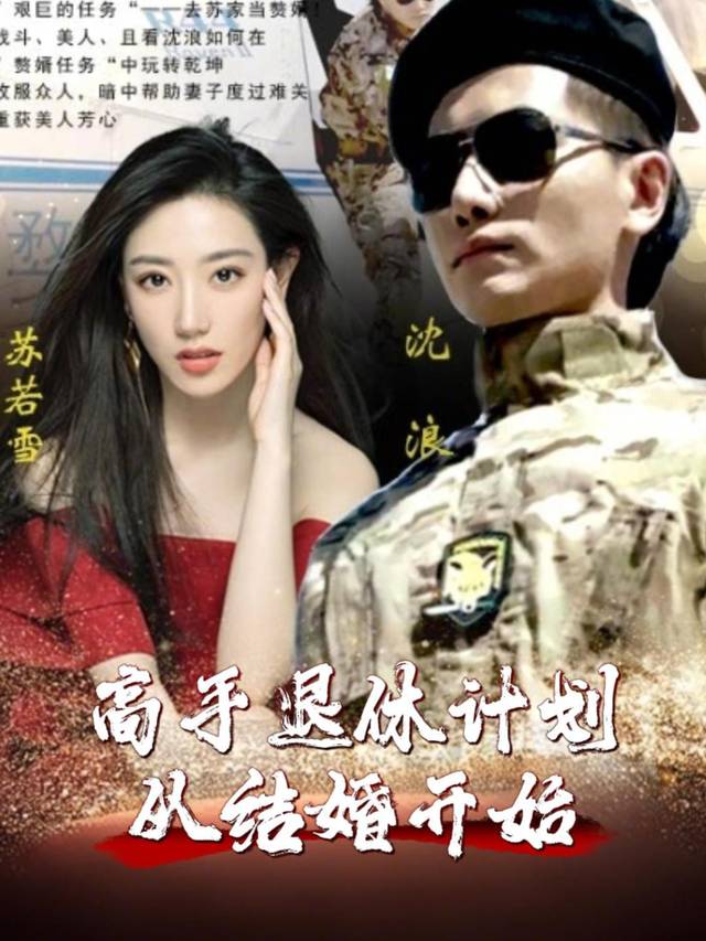 高手退休计划:从结婚开始封面