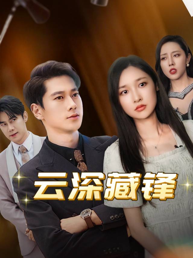 云深藏锋封面