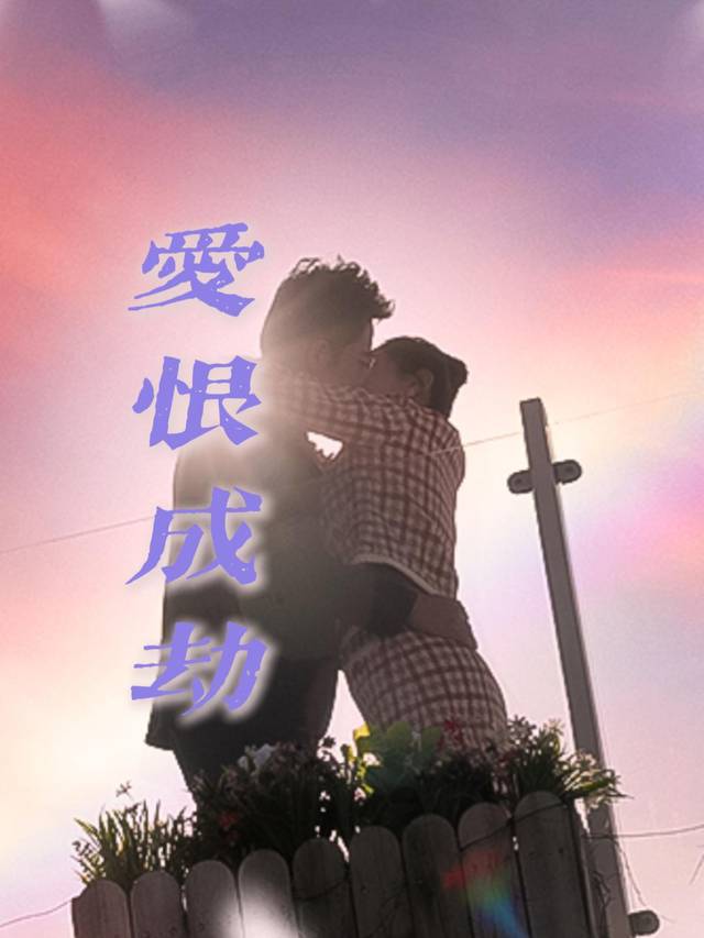爱恨成劫封面