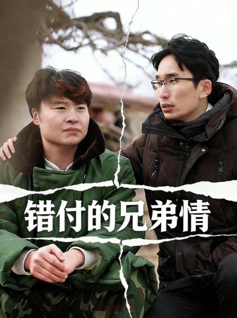 错付的兄弟情封面