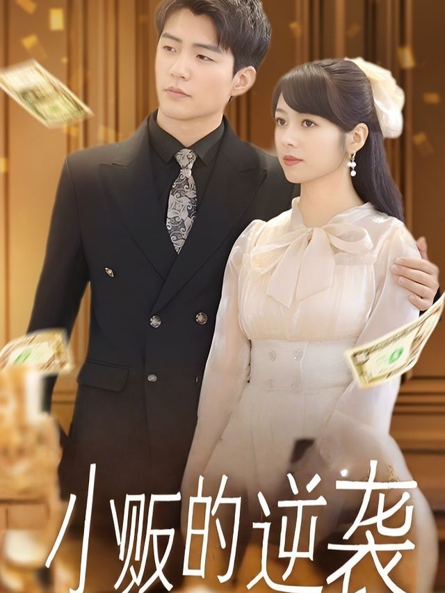 小贩的逆袭封面