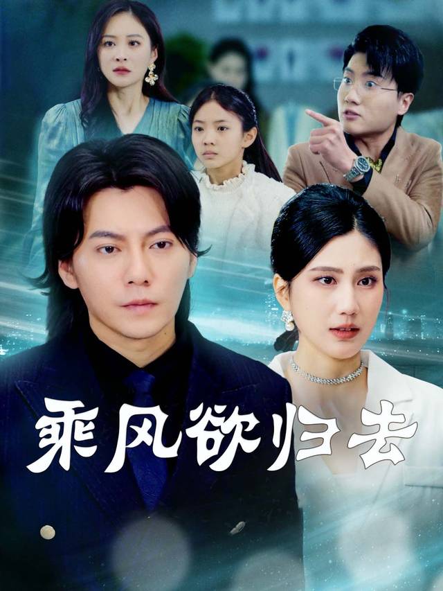 乘风欲归去封面