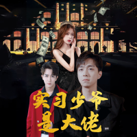 实习生的另一面封面