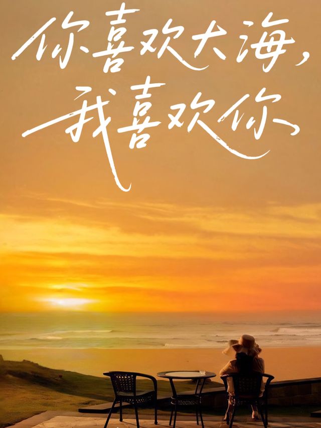 你喜欢大海,我喜欢你封面