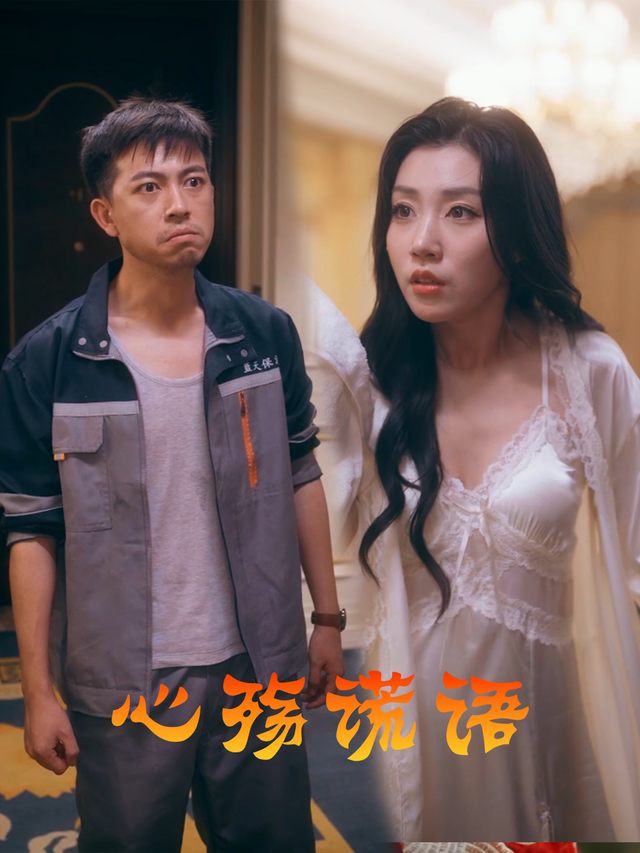 心殇谎语封面