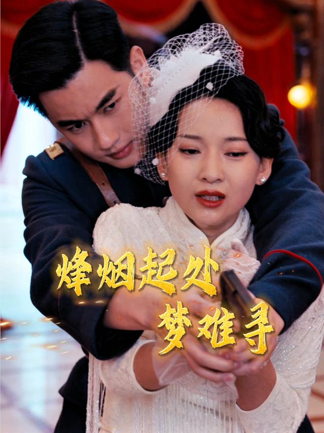 烽烟起处梦难寻封面