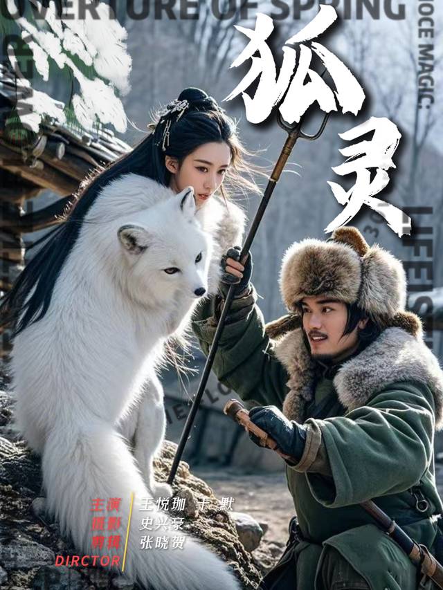 狐灵封面
