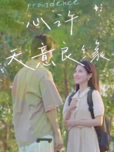 心许天意良缘封面