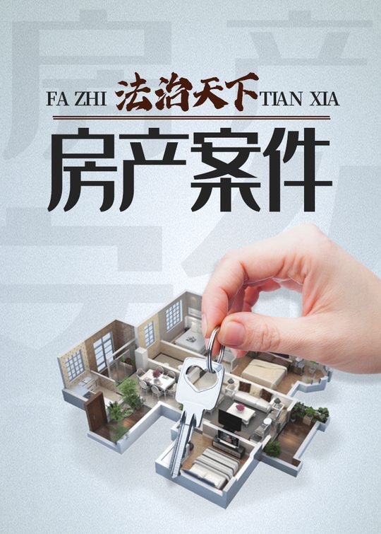 法治天下：房产案件（上）封面