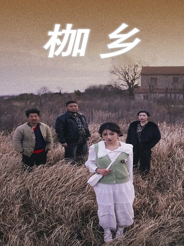 枷乡封面