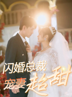 闪婚总裁宠妻超甜封面