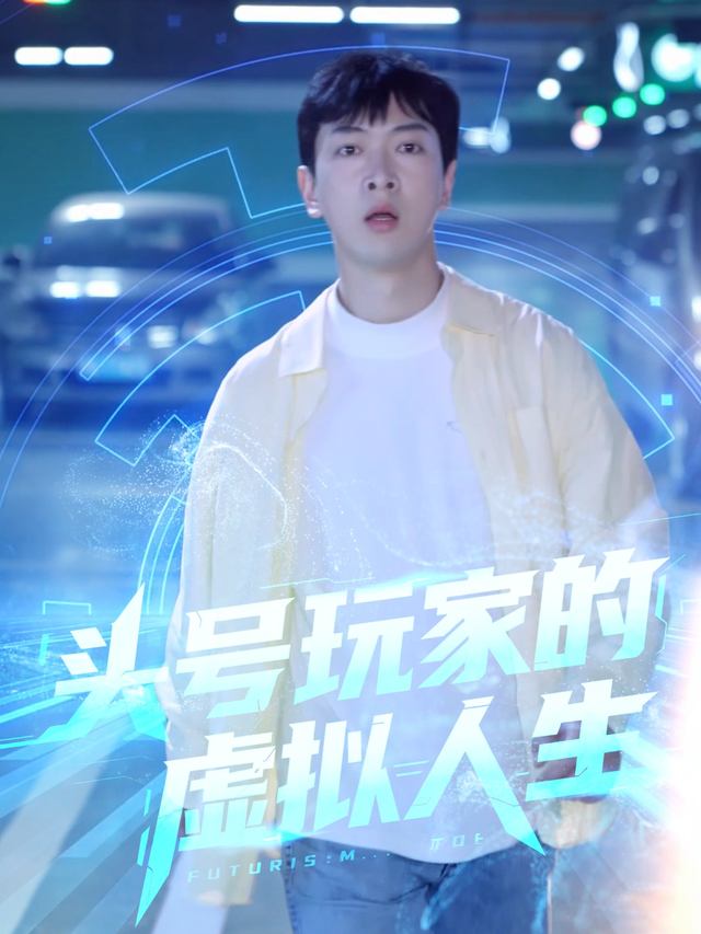 头号玩家的虚拟人生封面