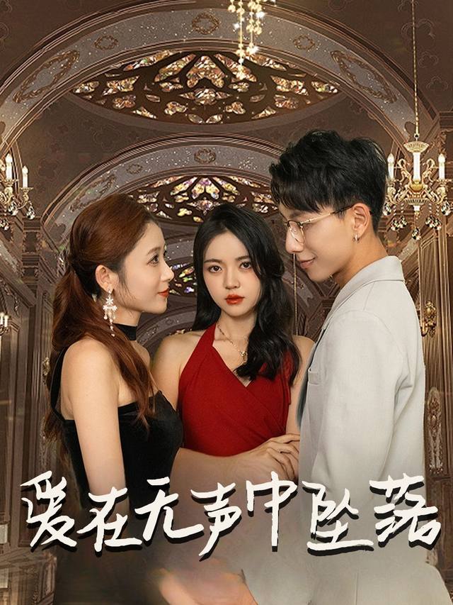 爱在无声中坠落封面