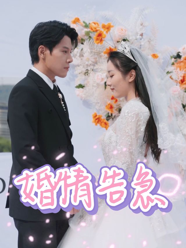 婚情告急封面