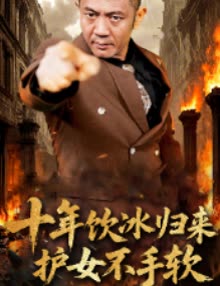 十年饮冰归来护女不手软封面