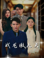 战龙傲九天封面