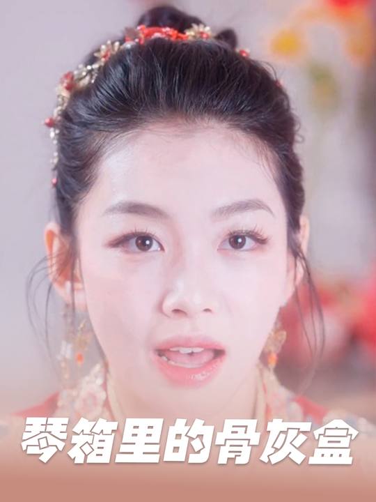 琴箱里的骨灰盒封面