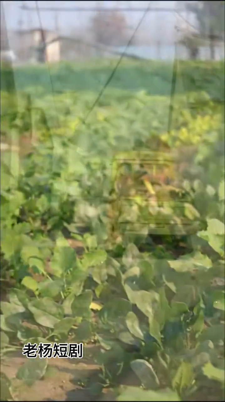 懒夫逼出创业妻封面