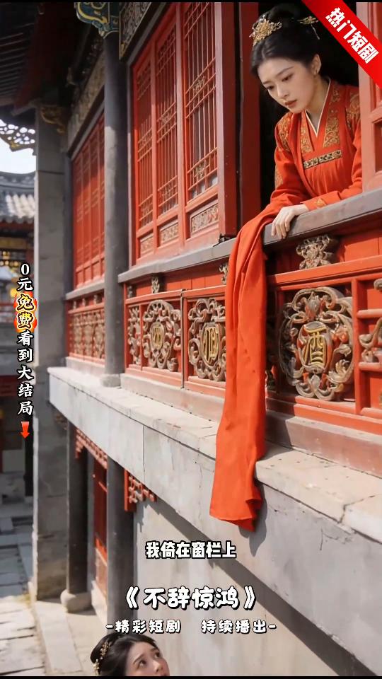 不辞惊鸿封面