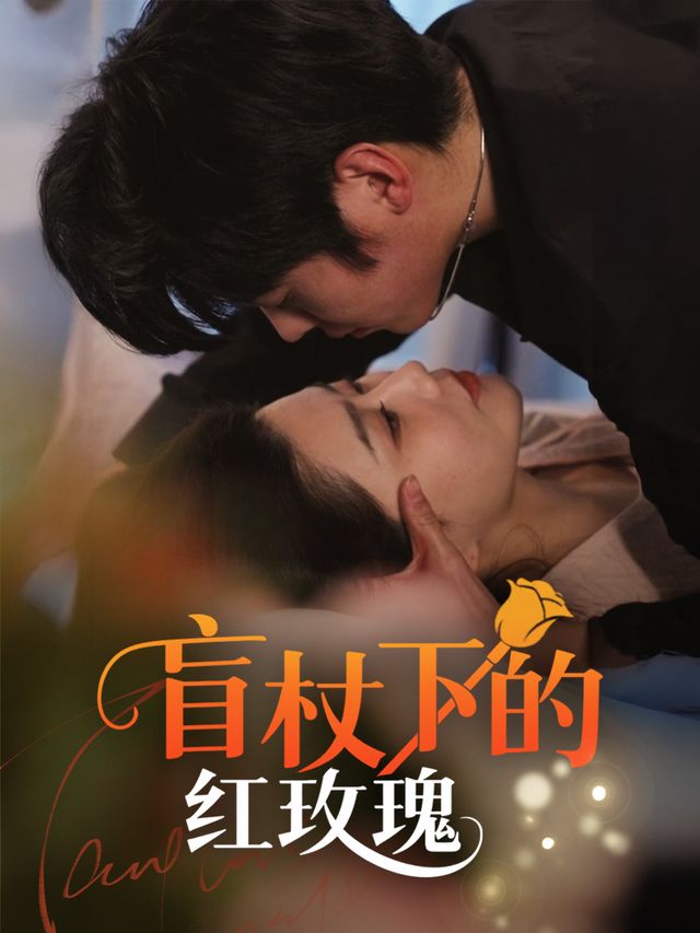 盲杖下的红玫瑰封面