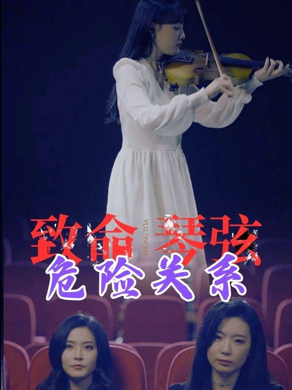 致命琴弦：危险关系封面