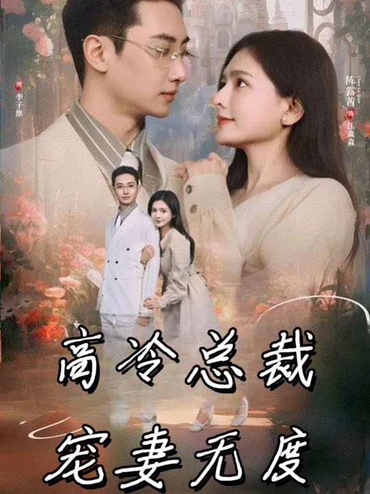 高冷总裁宠妻无度封面