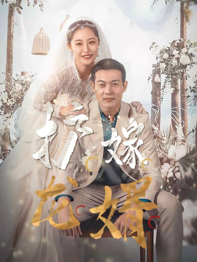 护嫁龙婿封面