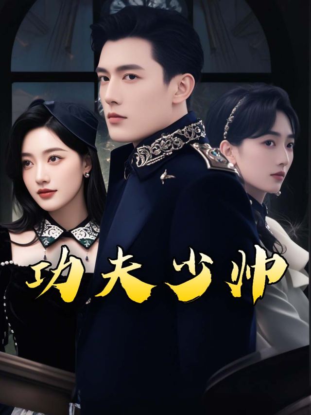 功夫少帅封面