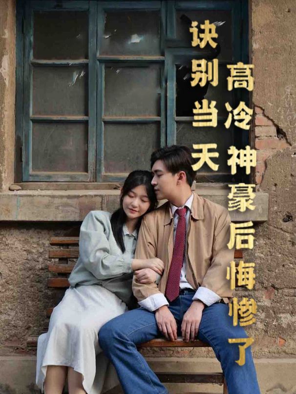 诀别当天高冷神豪后悔惨了封面