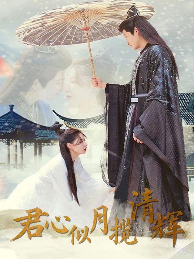 君心似月揽清辉封面