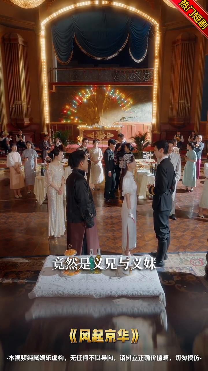 风起京华封面