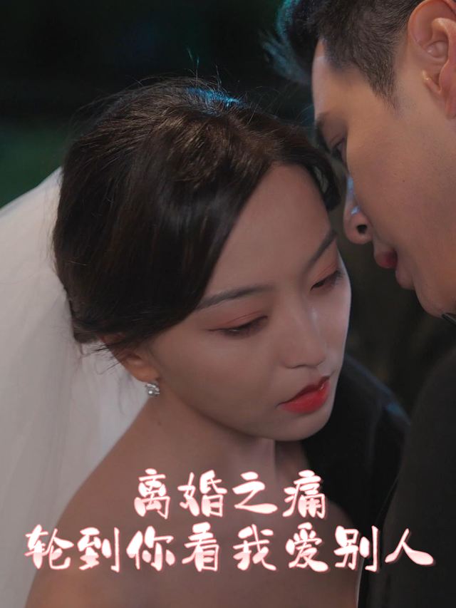 离婚之痛，轮到你看我爱别人封面