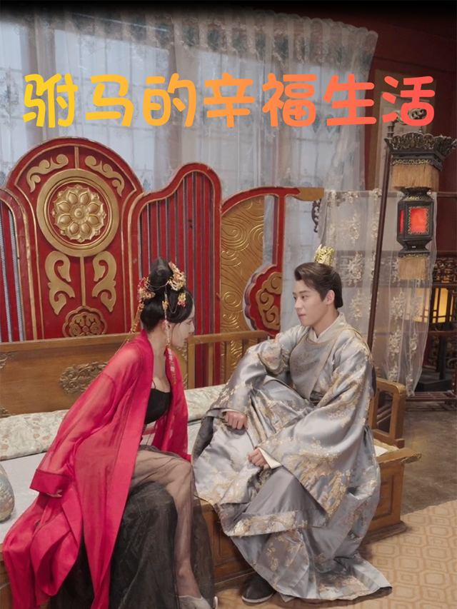 驸马的幸福生活封面