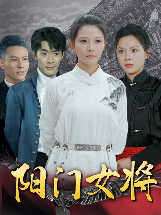 阳门女将封面