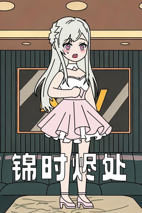 锦时烬处封面
