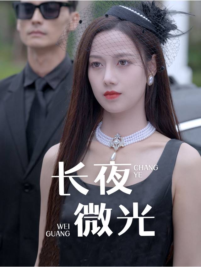 长夜微光封面