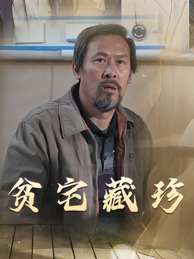 贫宅藏珍封面