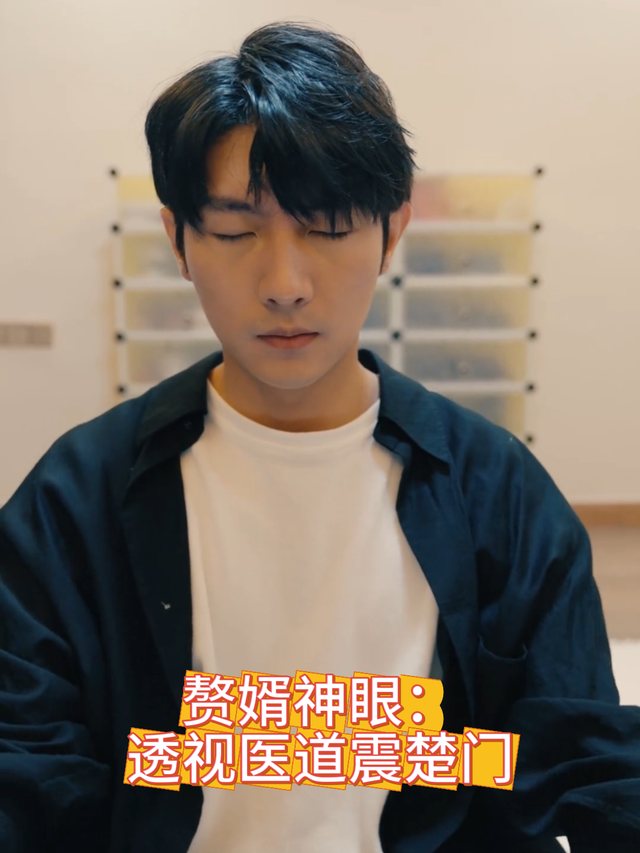 赘婿神眼:透视医道震楚门封面