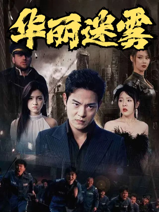 华丽迷雾封面