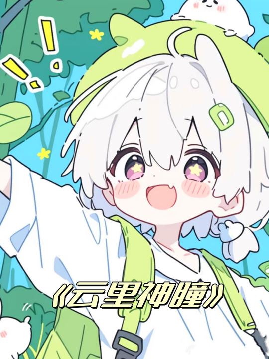 云里神瞳封面